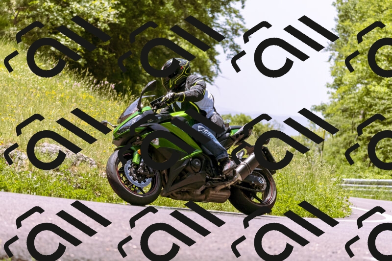 202506071223-_DSC7624_d1_