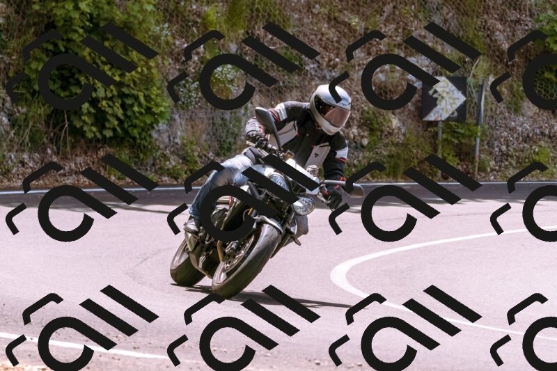 202506071224-_DSC7629_d1_