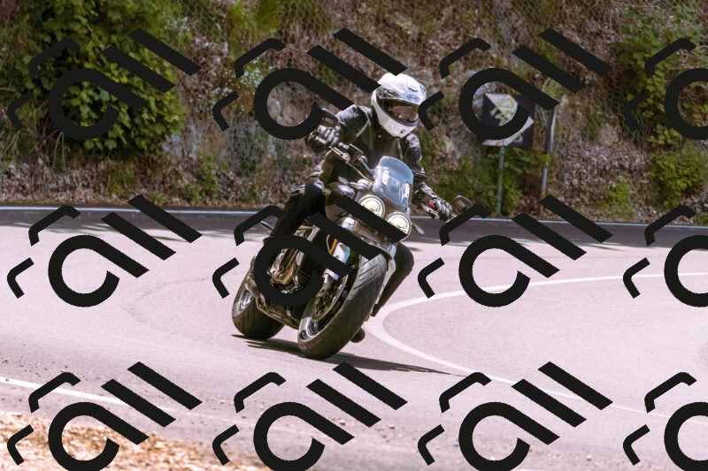 202506071224-_DSC7631_d1_