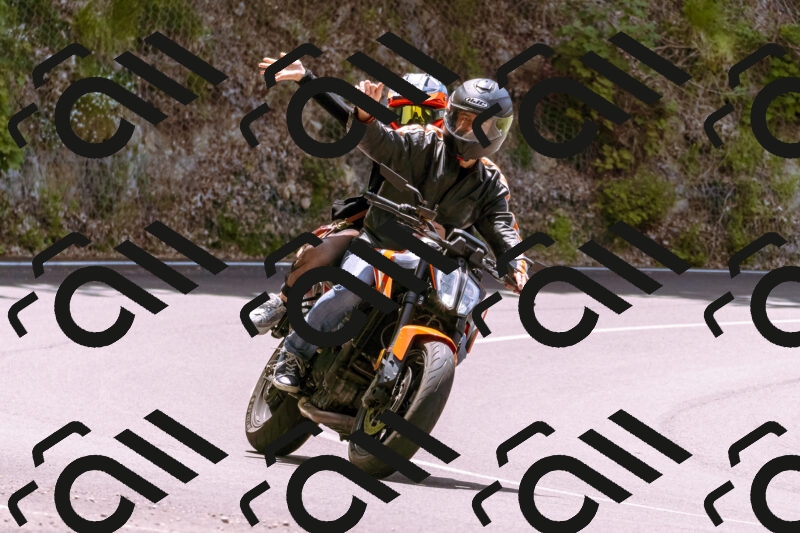 202506071227-_DSC7636_d1_