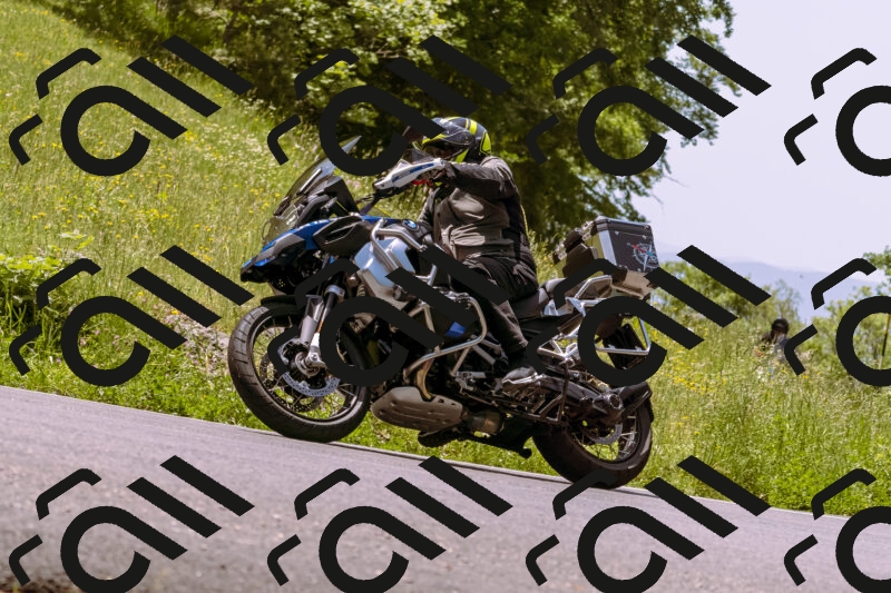 202506071229-_DSC7646_d1_