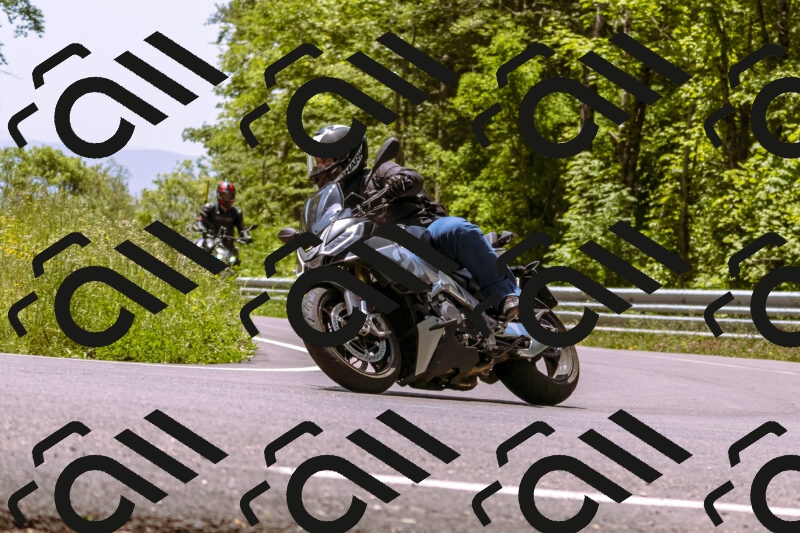 202506071230-_DSC7654_d1_