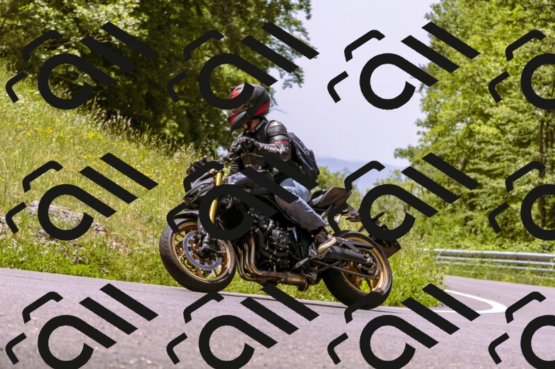 202506071230-_DSC7657_d1_