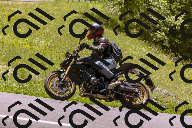 202506071230-_DSC7658_d1_