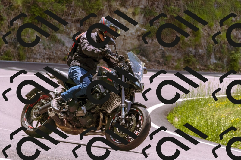 202506071232-_DSC7663_d1_