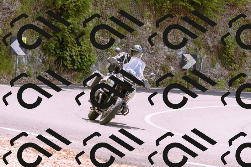 202506071245-_DSC7694_d1_