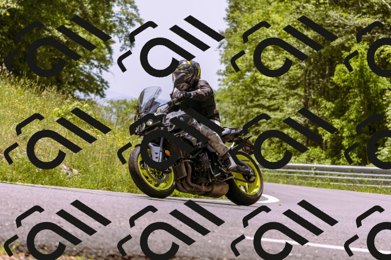 202506071247-_DSC7698_d1_