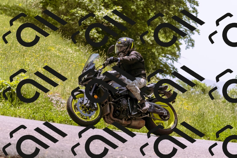 202506071247-_DSC7699_d1_