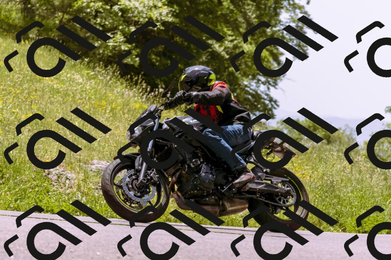 202506071248-_DSC7706_d1_