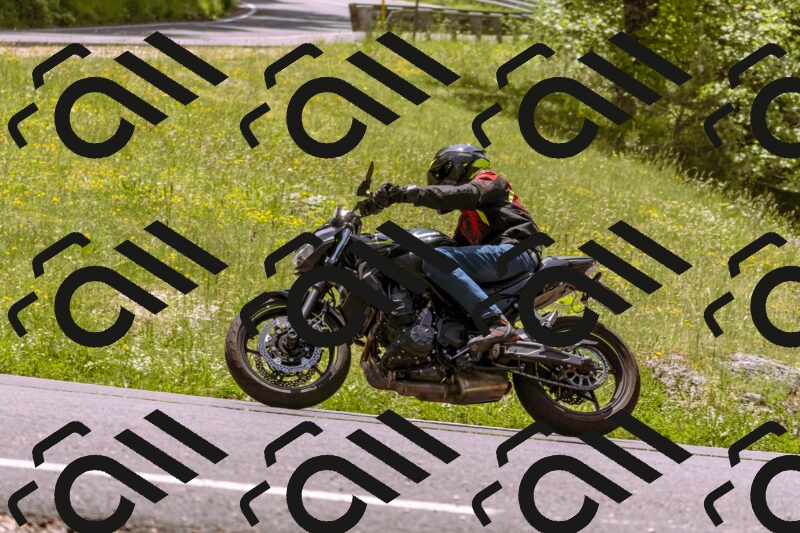 202506071248-_DSC7707_d1_