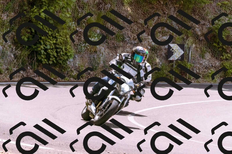 202506071249-_DSC7709_d1_