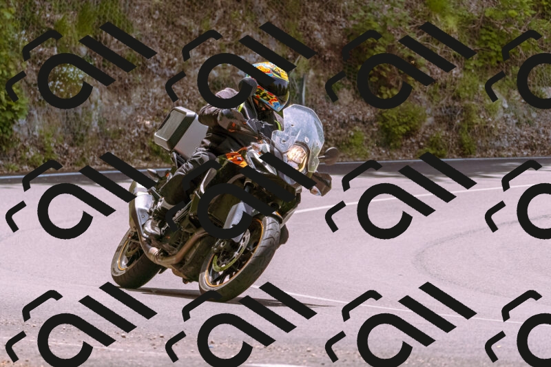 202506071249-_DSC7713_d1_