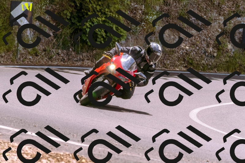 202506071250-_DSC7716_d1_