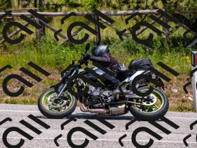 202506071336-DSC_1020_d2_