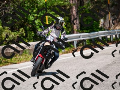 202506071339-DSC_1024_d2_