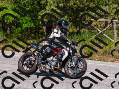 202506071505-DSC_1390_d2_