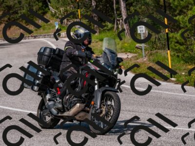 202506071559-DSC_1652_d2_