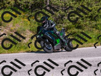 202506071641-DSC_1950_d2_