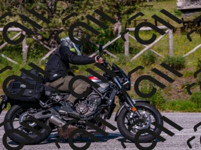 202506071646-DSC_1981_d2_