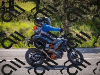 20250608093711-_Z628146_am_