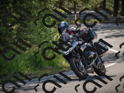 20250608095020-_Z628187_am_