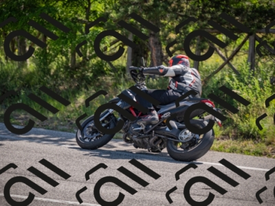 20250608100232-_Z628254_am_