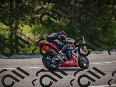 20250608100555-_Z628285_am_