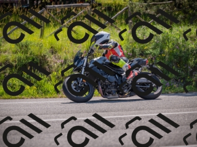 20250608102024-_Z628353_am_