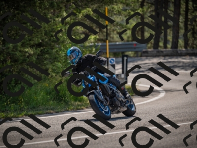 20250608102158-_Z628366_am_