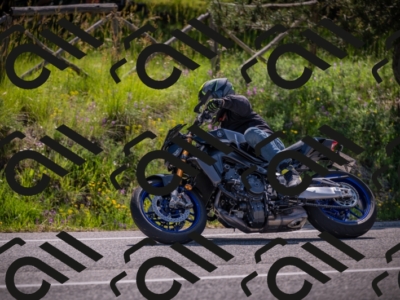 20250608102854-_Z628401_am_