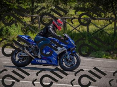 20250608102934-_Z628408_am_