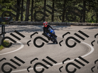 20250608103114-_Z628415_am_