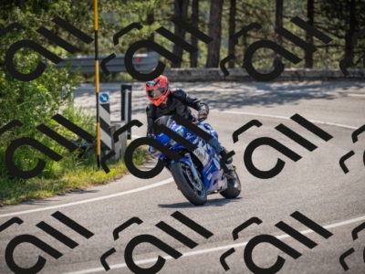 20250608103115-_Z628416_am_