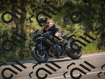 20250608103123-_Z628422_am_