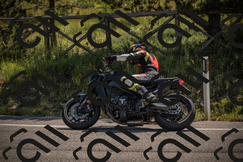 20250608103124-_Z628424_am_