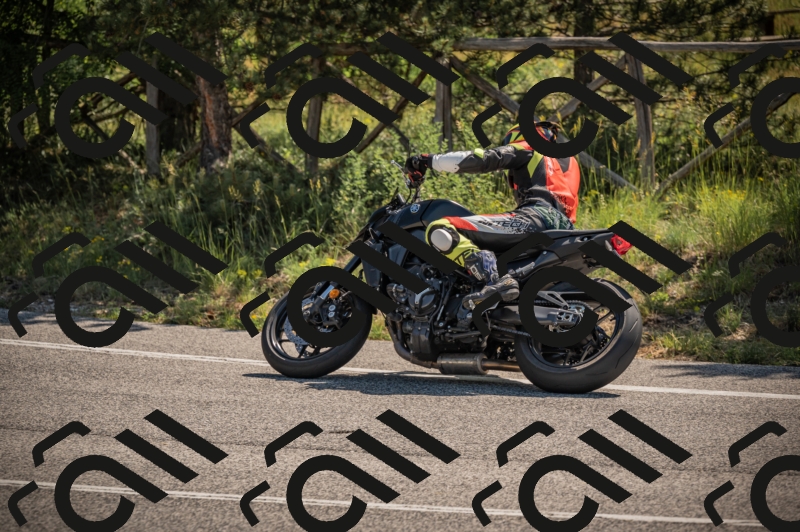 20250608103124-_Z628425_am_