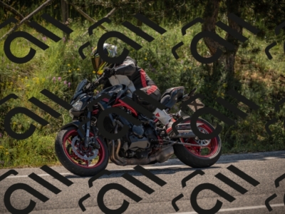 20250608103131-_Z628427_am_