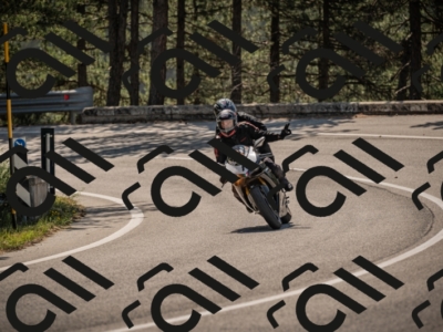 20250608103251-_Z628433_am_