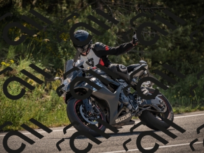 20250608103502-_Z628444_am_