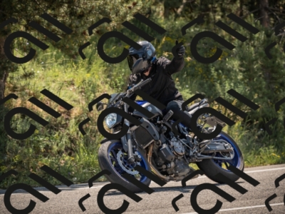 20250608103506-_Z628449_am_