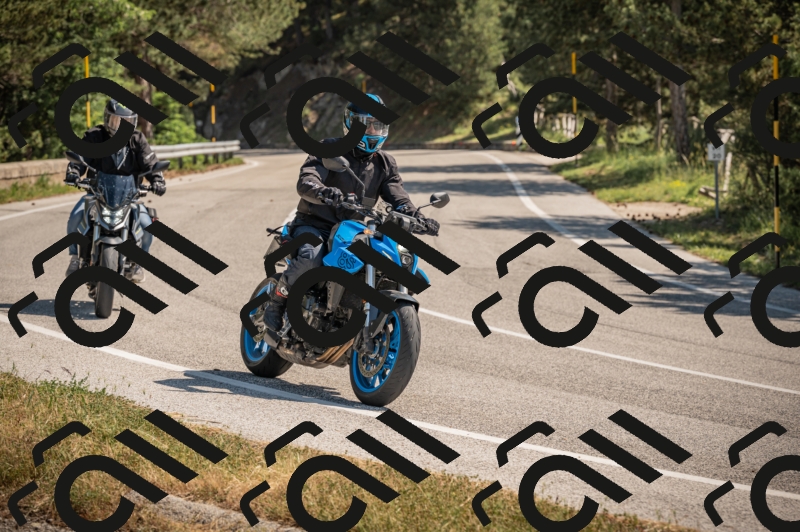 20250608103516-_Z628453_am_