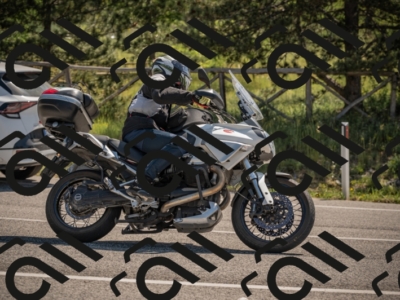 20250608103808-_Z628483_am_