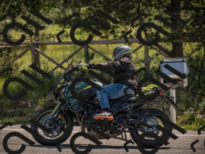 20250608103821-_Z628492_am_