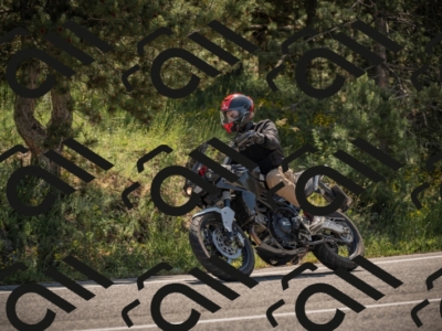 20250608103932-_Z628506_am_