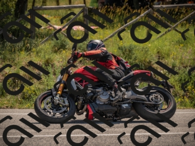 20250608105336-_Z628585_am_