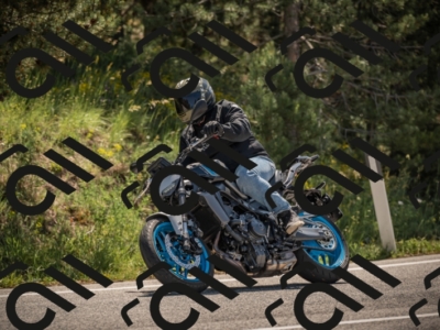 20250608105515-_Z628598_am_