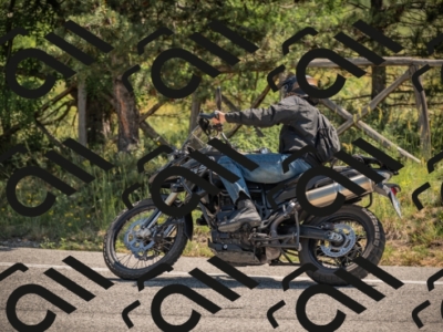 20250608105822-_Z628648_am_