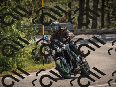 20250608110235-_Z628688_am_