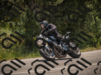 20250608110439-_Z628694_am_