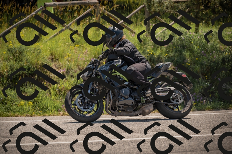 20250608110446-_Z628699_am_